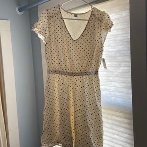 Polka Dot cotton dress